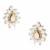 Dazzling Diamond Earrings Shree Balaji Diamond 2